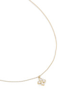 Collier Shani