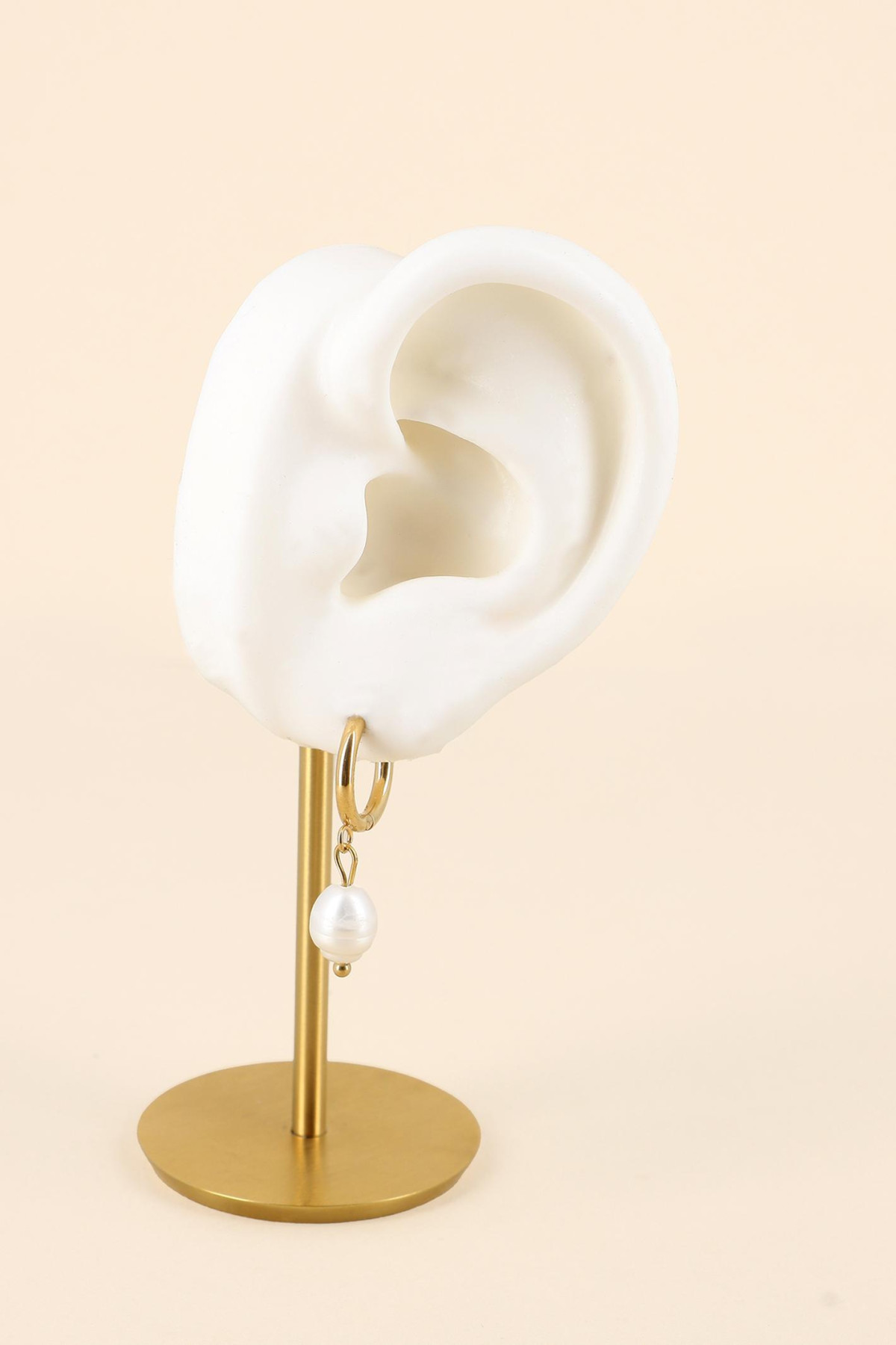 Boucles Augusta