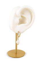 Boucles Augusta