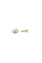 Piercing Diell