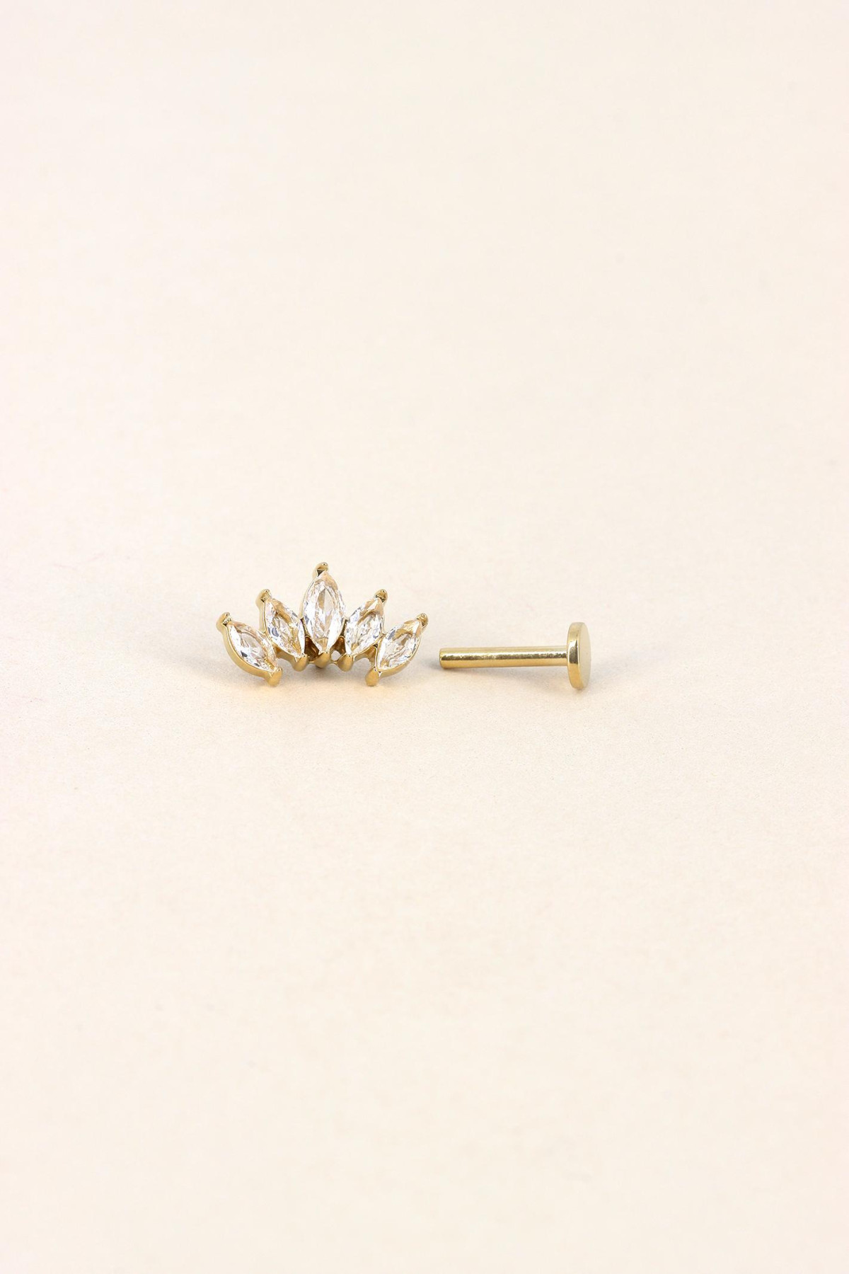 Piercing Carline