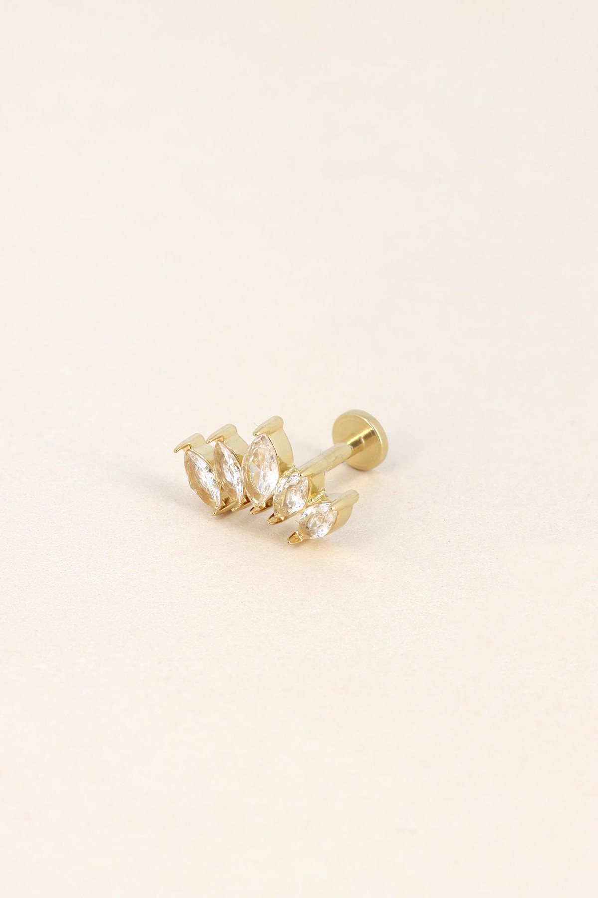 Piercing Carline