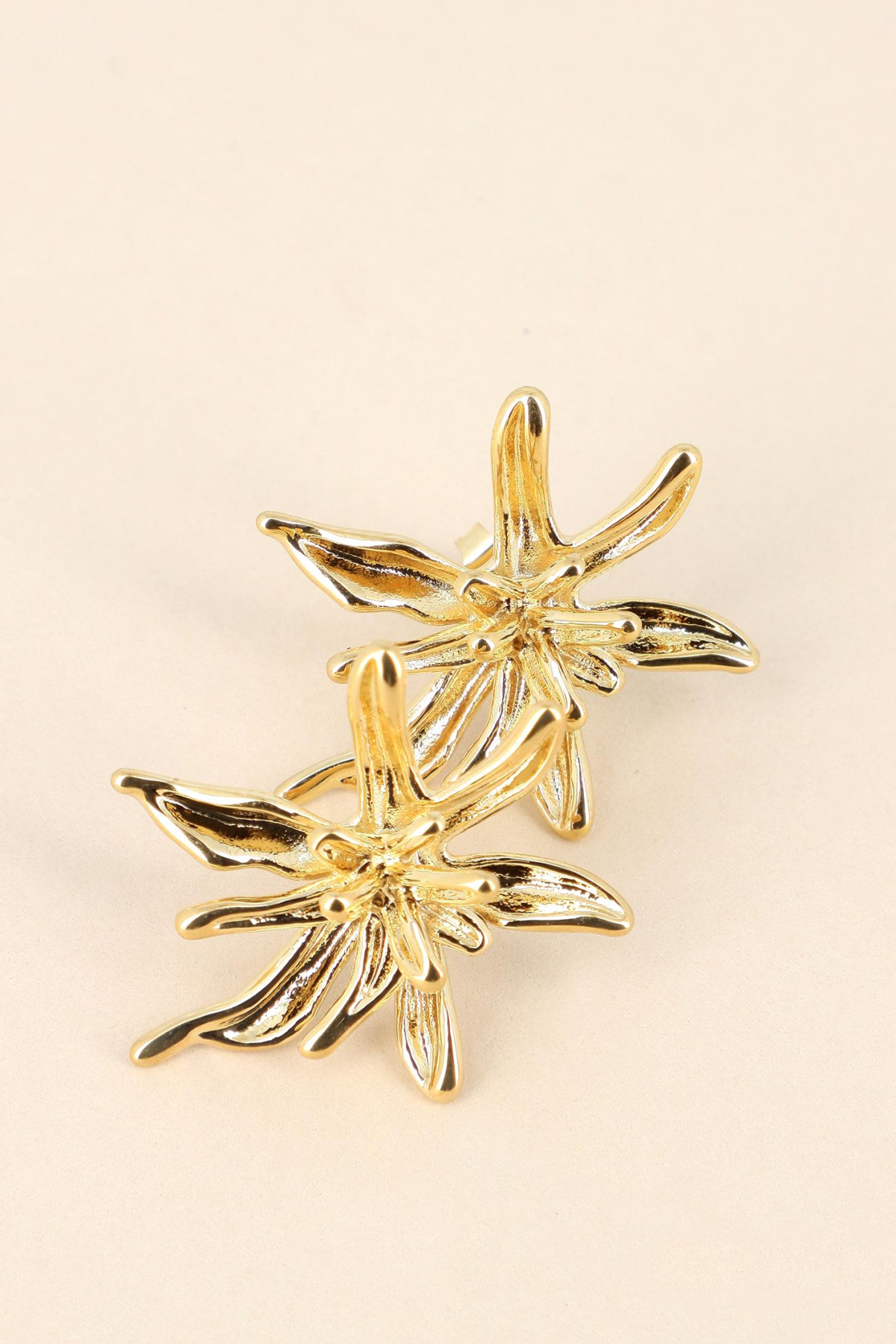 Boucles Aziza