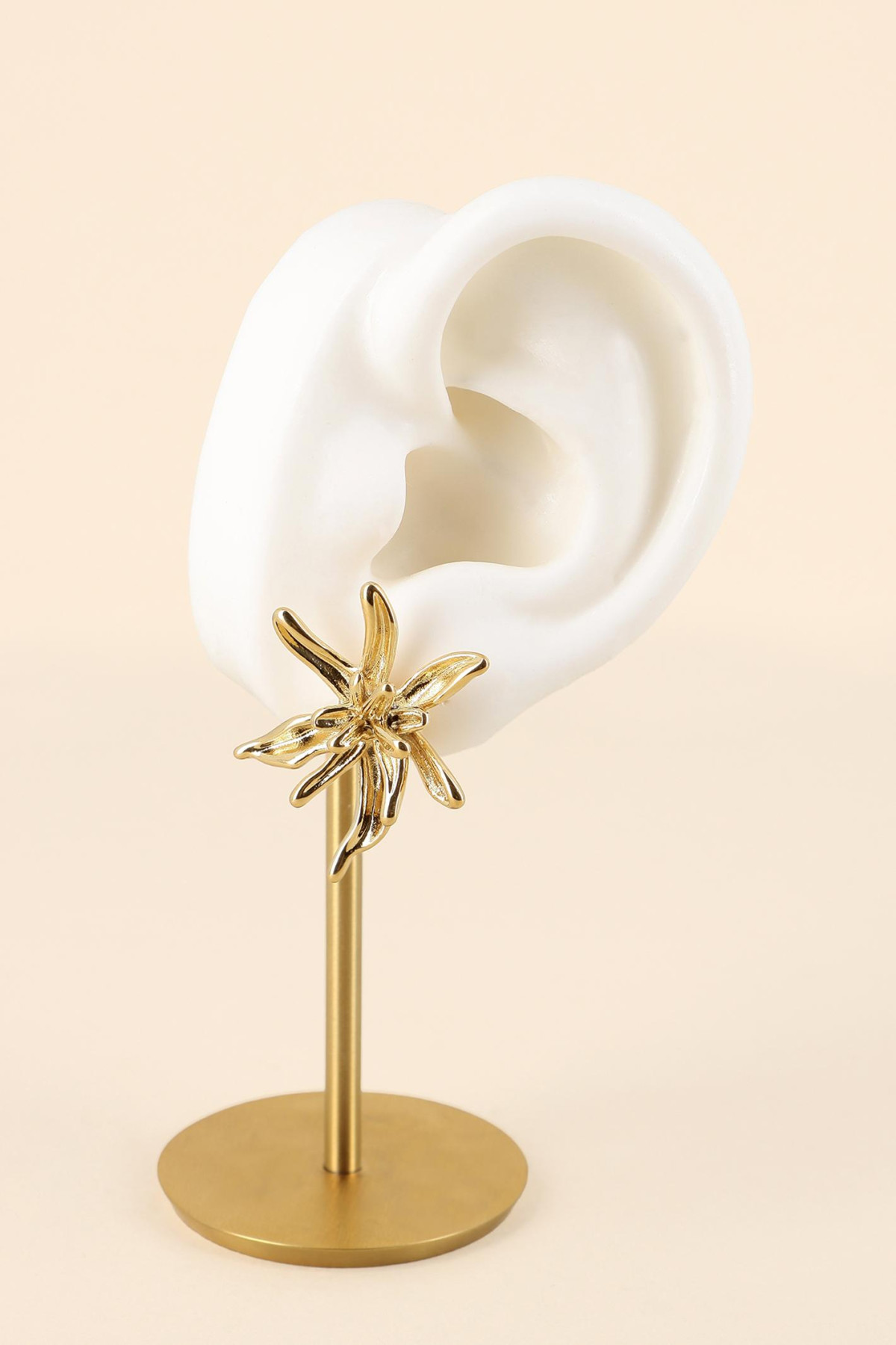 Boucles Aziza