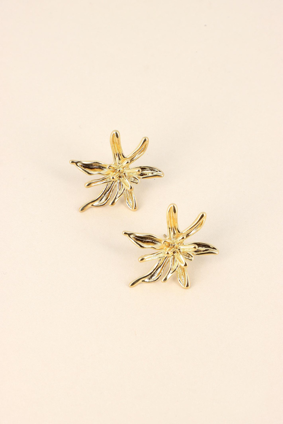 Boucles Aziza