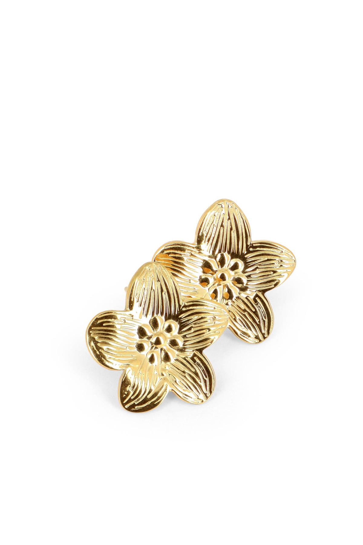 Boucles Diem