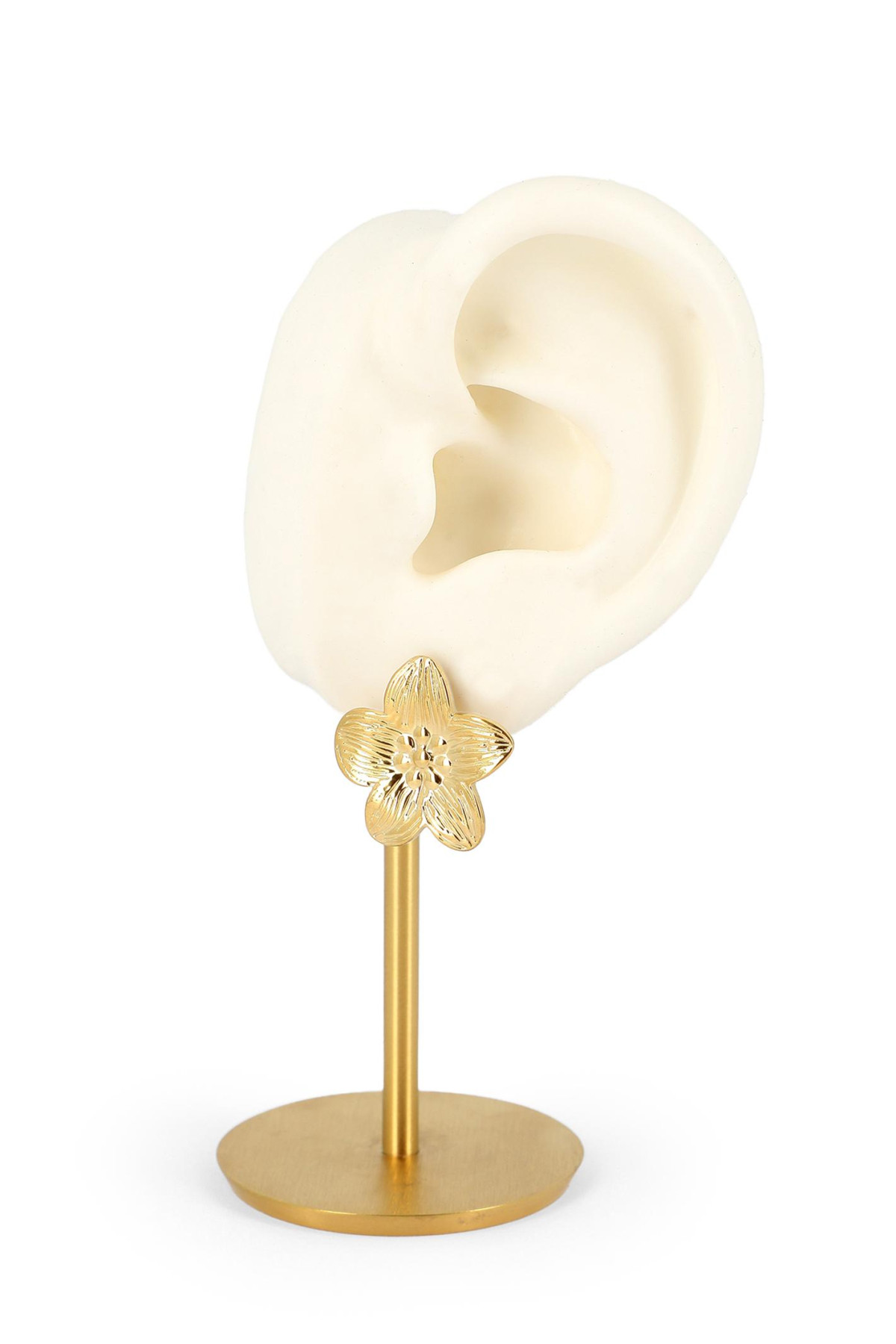 Boucles Diem