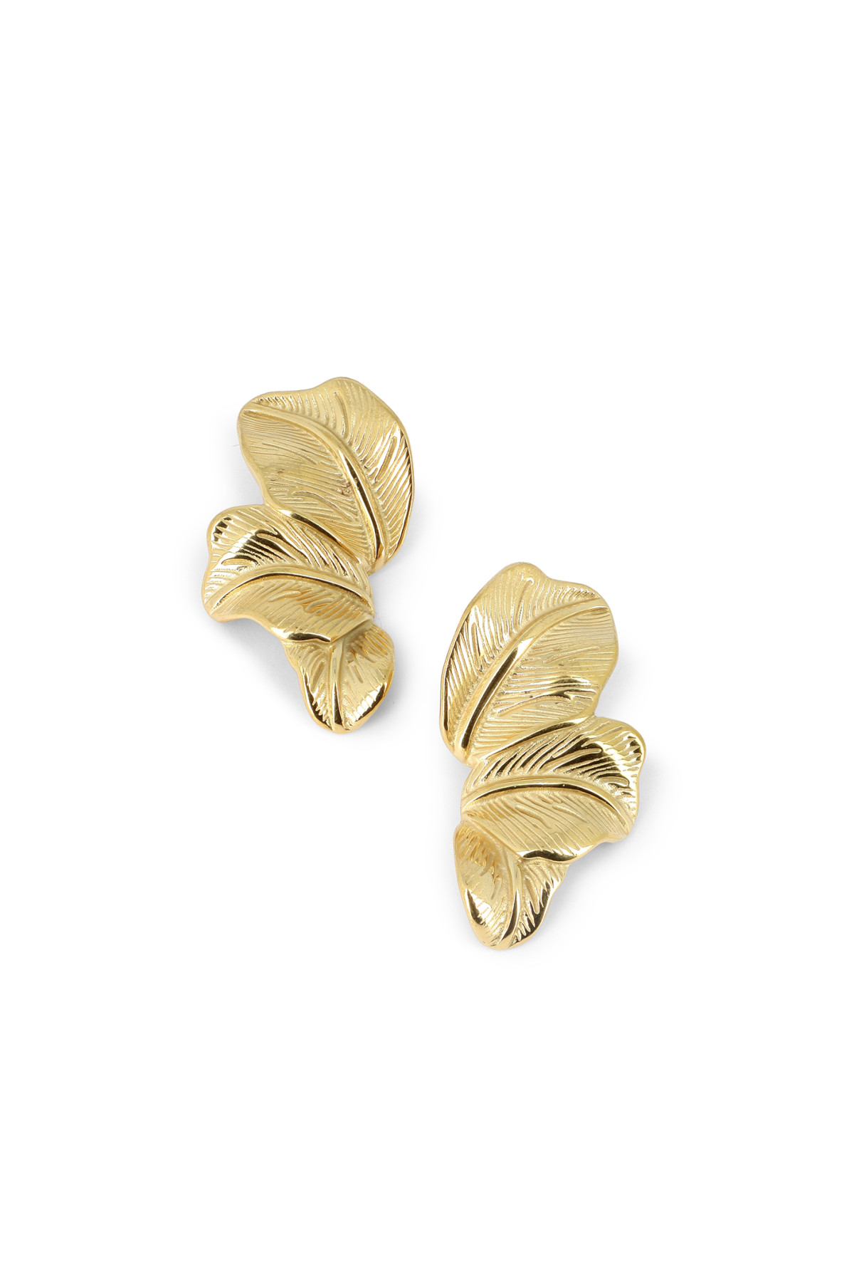 Boucles Brune