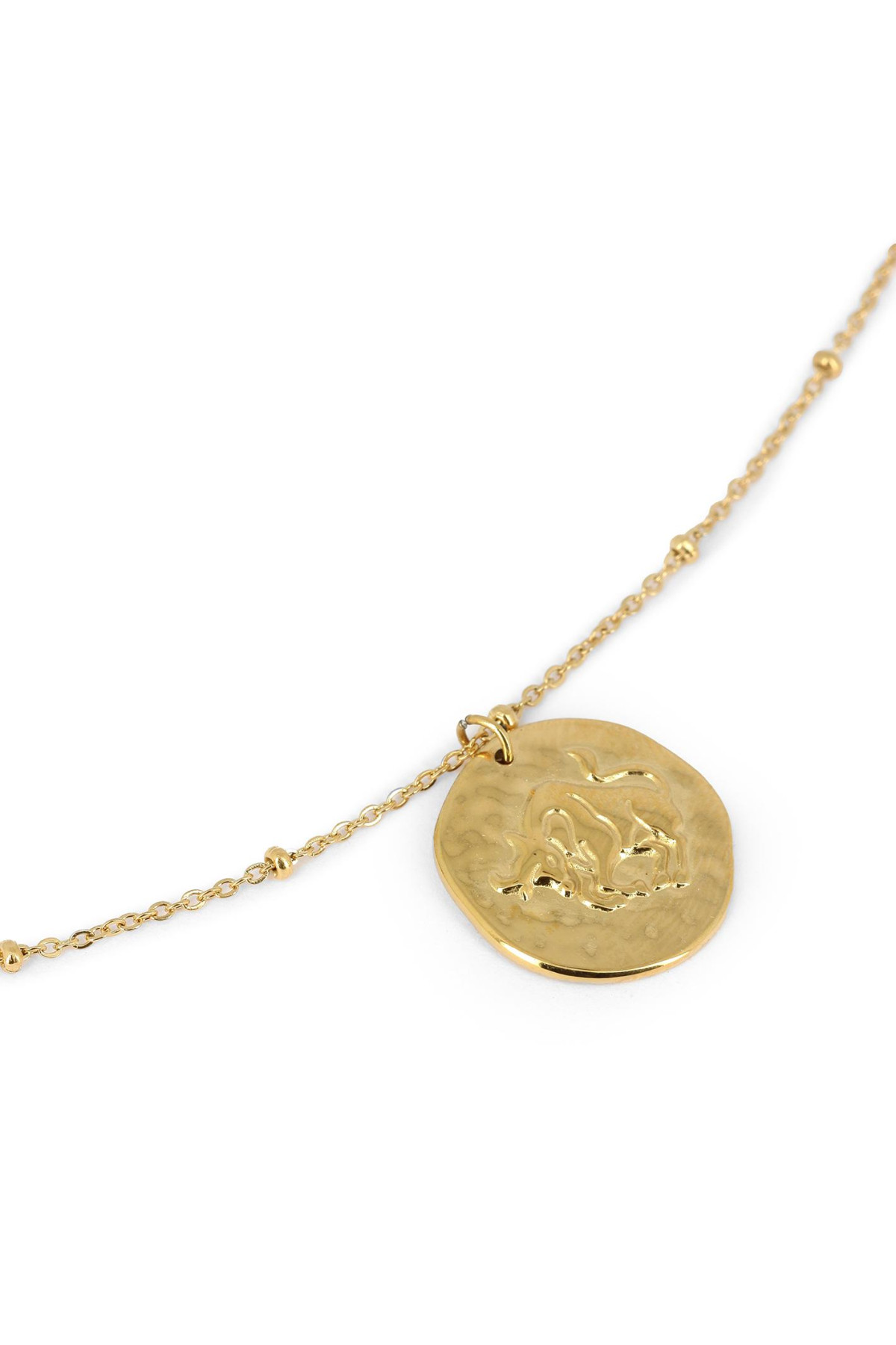 collier taureau