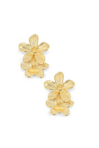 Boucles Antonie