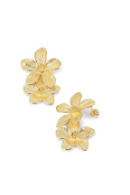 Boucles Antonie
