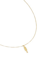 Collier Pipa
