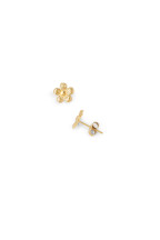 Boucles Appoline