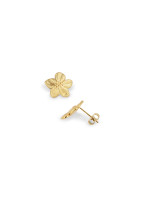 Boucles Clara