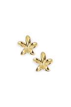 Boucles Lisette