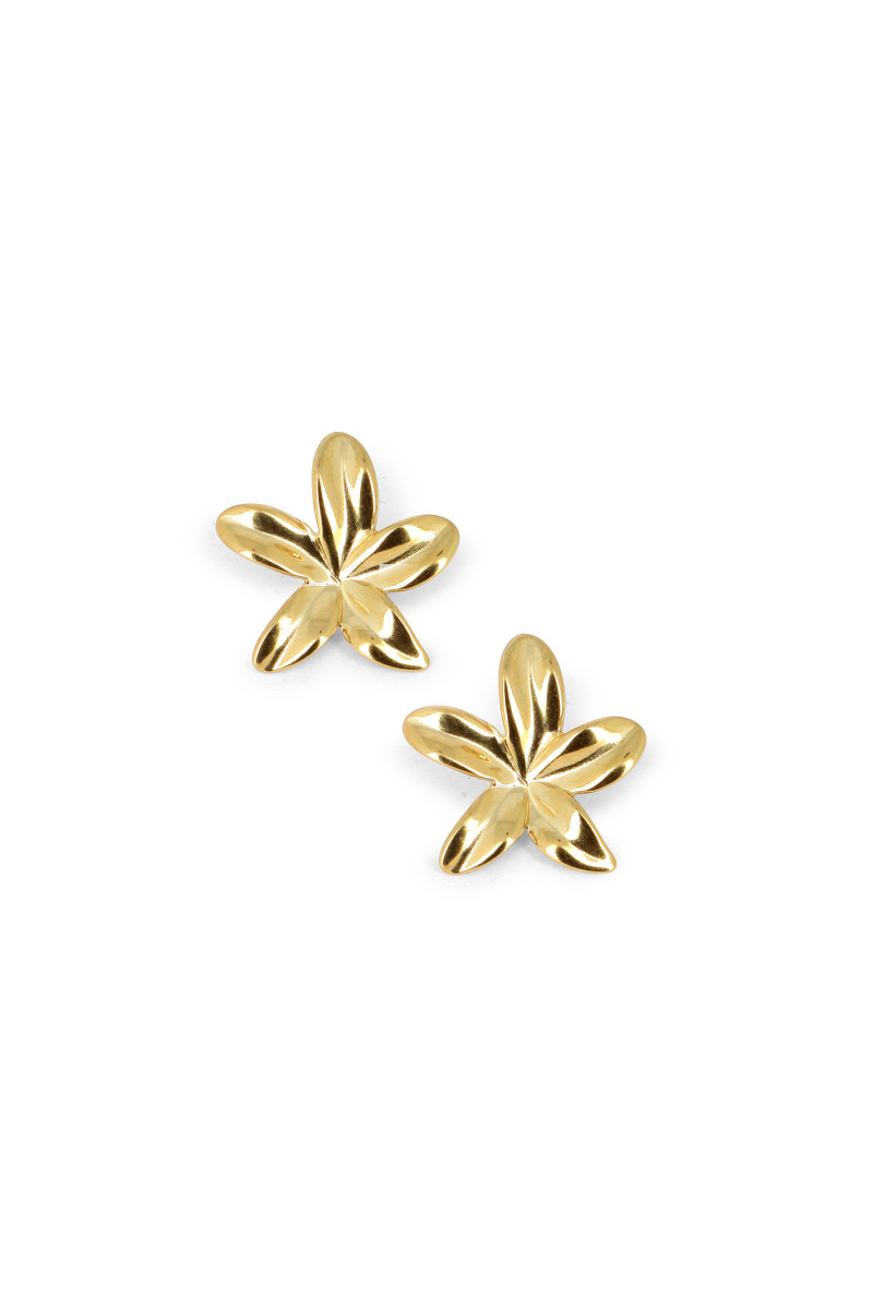 Boucles Lisette
