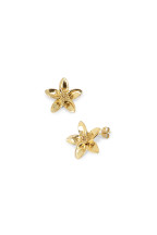 Boucles Roscille