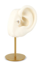 Piercing Zorah