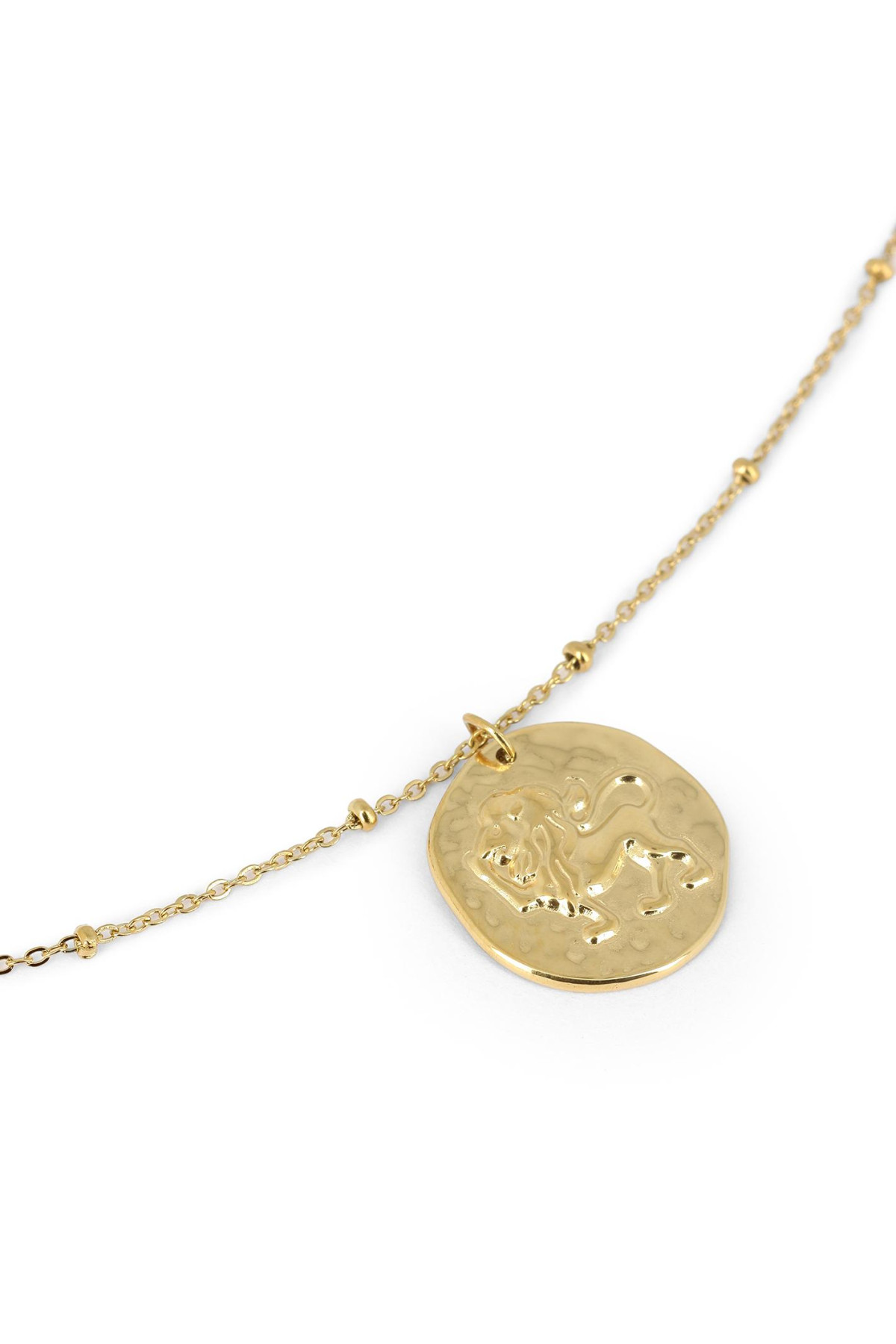 collier lion