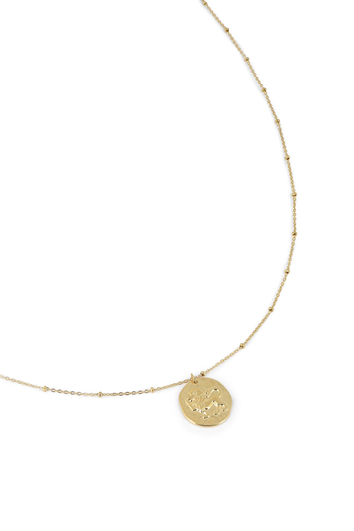 collier lion