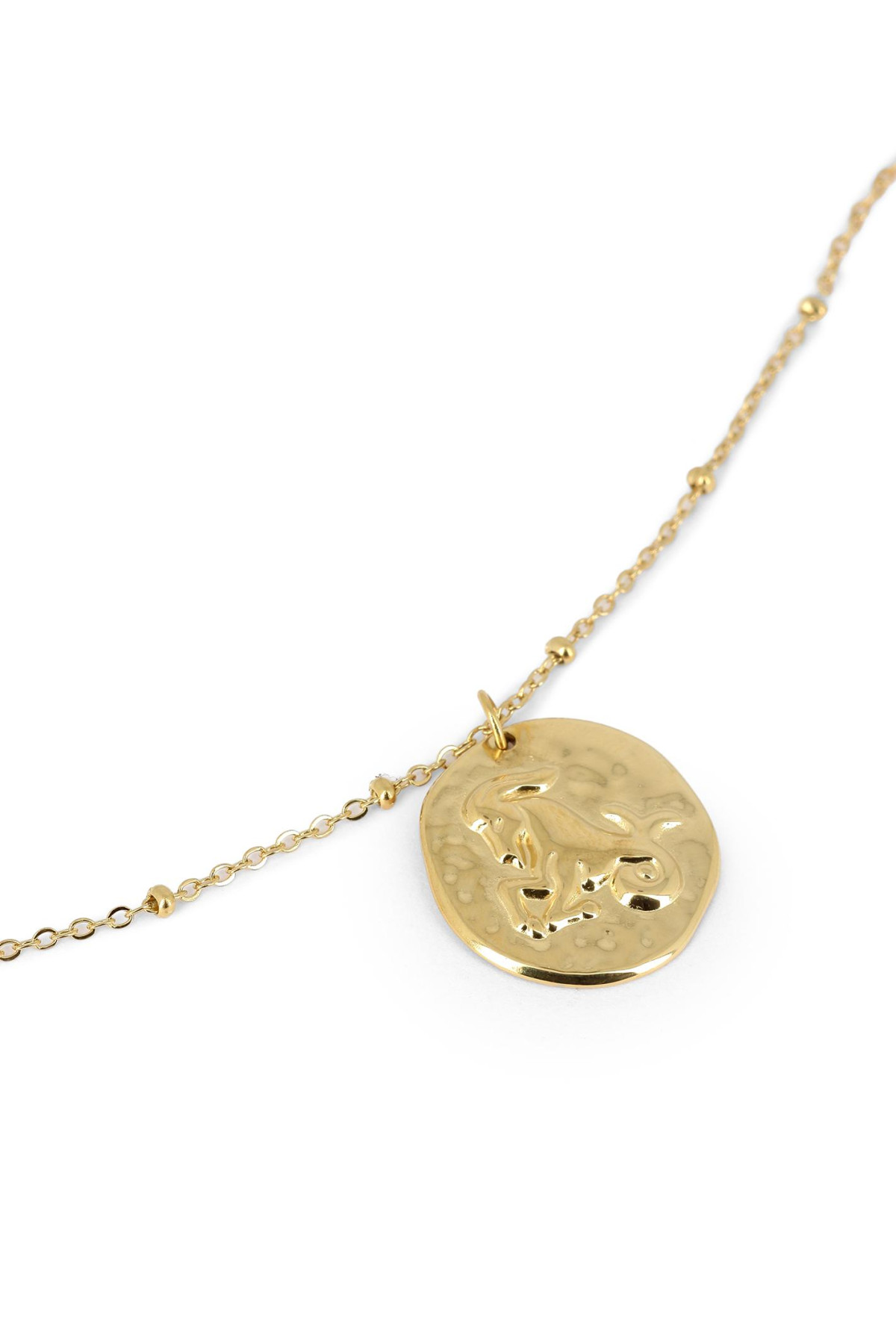 collier capricorne