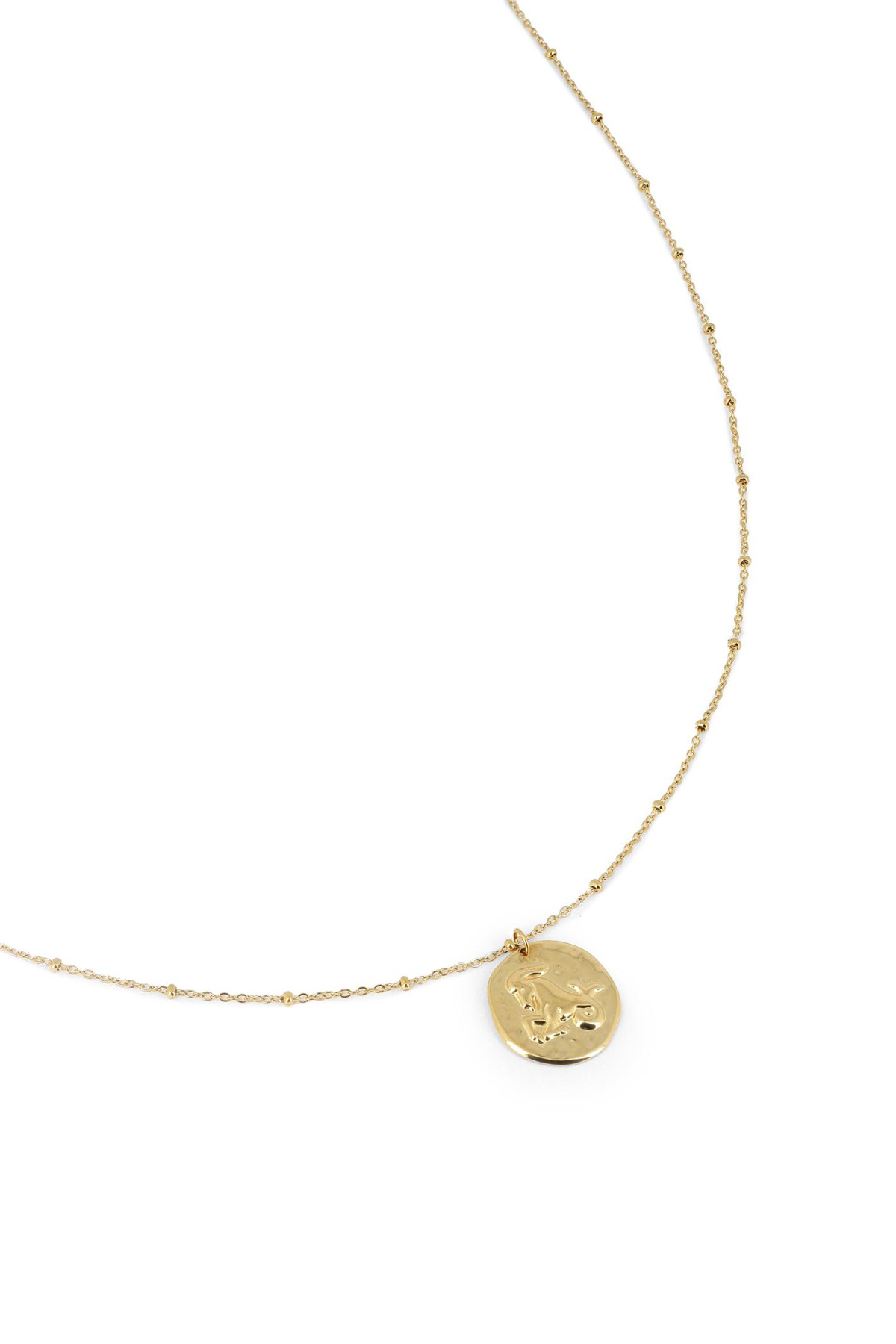 collier capricorne